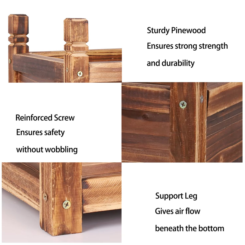 THE DECOR ROOT STANDARD